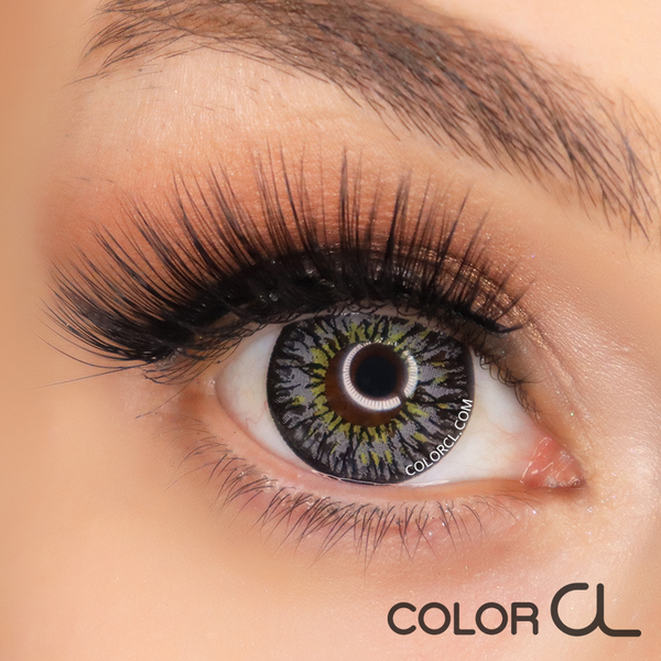 Princess Gray – COLORCL