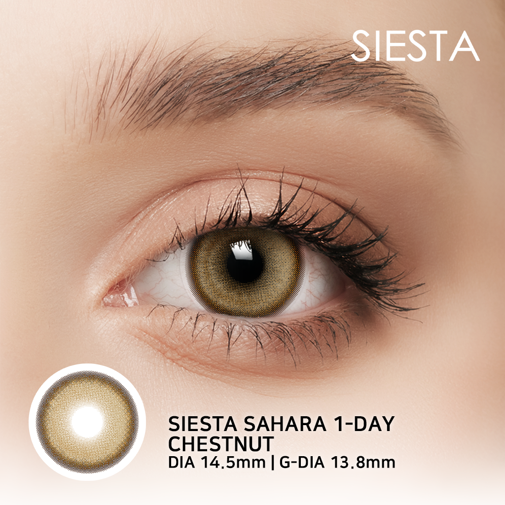 [1-Day] Sahara Chestnut (10p)