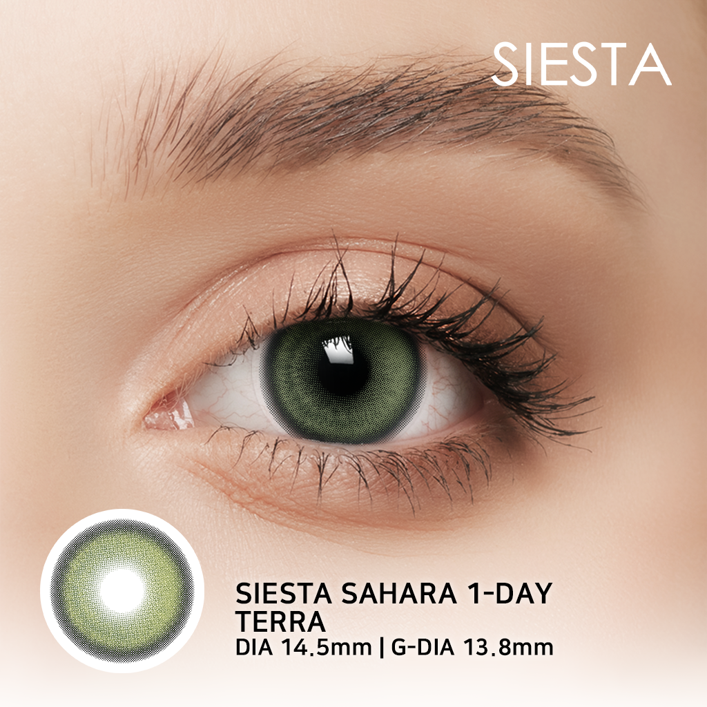 [1-Day] Sahara Terra (10p)