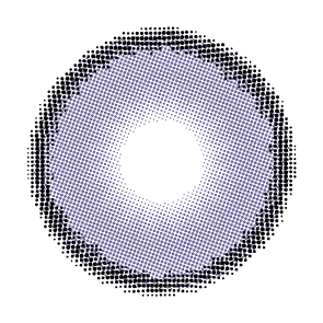 [1-Day] Sahara Sage (10p)