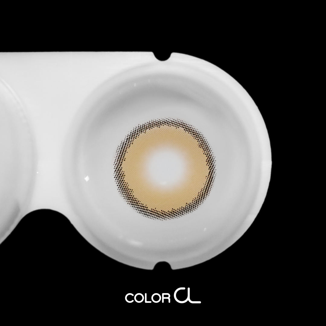 [1-Day] Sahara Fox (10p)