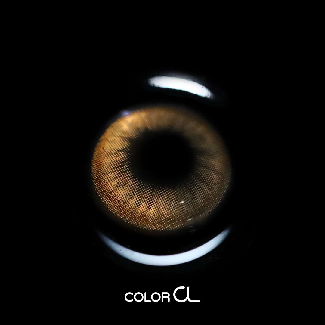 [1-Day] Shyring Brown (10p)