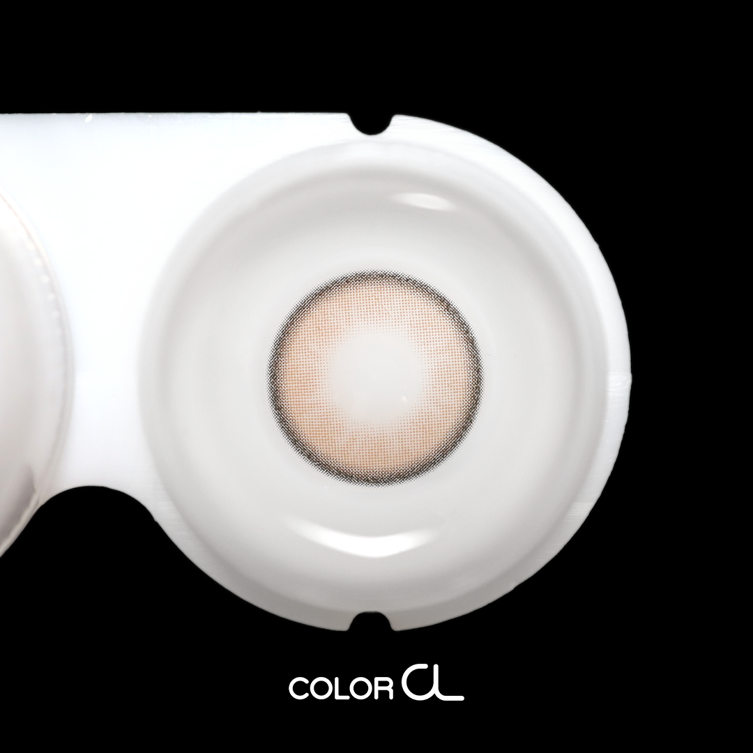 [1-Day] Sweetcircle Choco (10p)